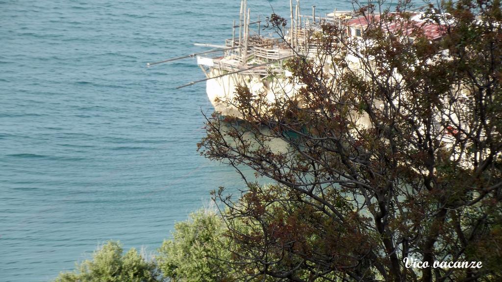 B&B Vico Vacanze Vico Del Gargano Eksteriør billede