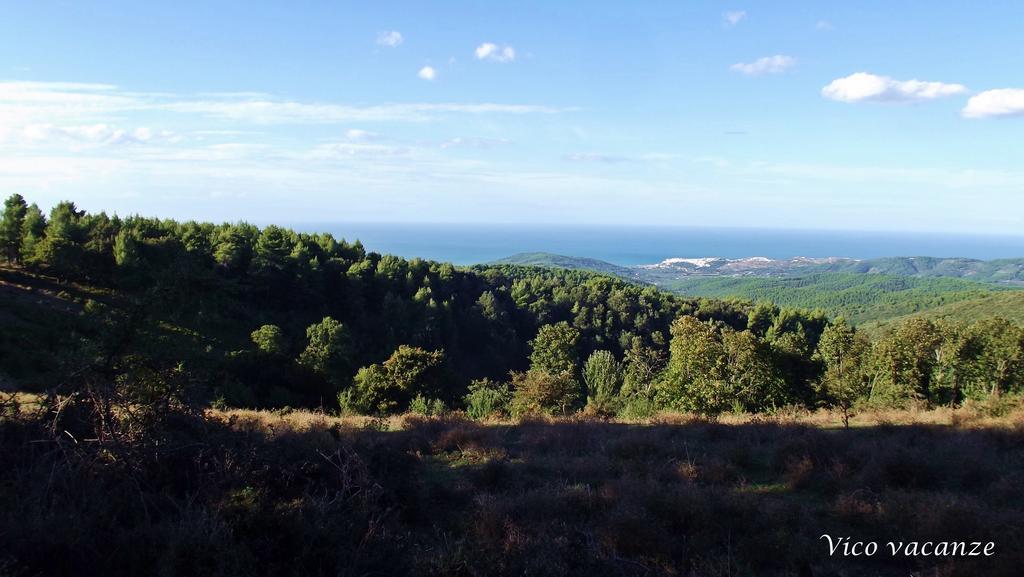 B&B Vico Vacanze Vico Del Gargano Eksteriør billede