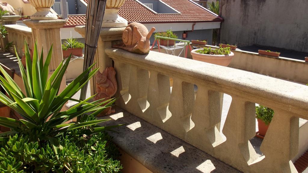 B&B Vico Vacanze Vico Del Gargano Eksteriør billede