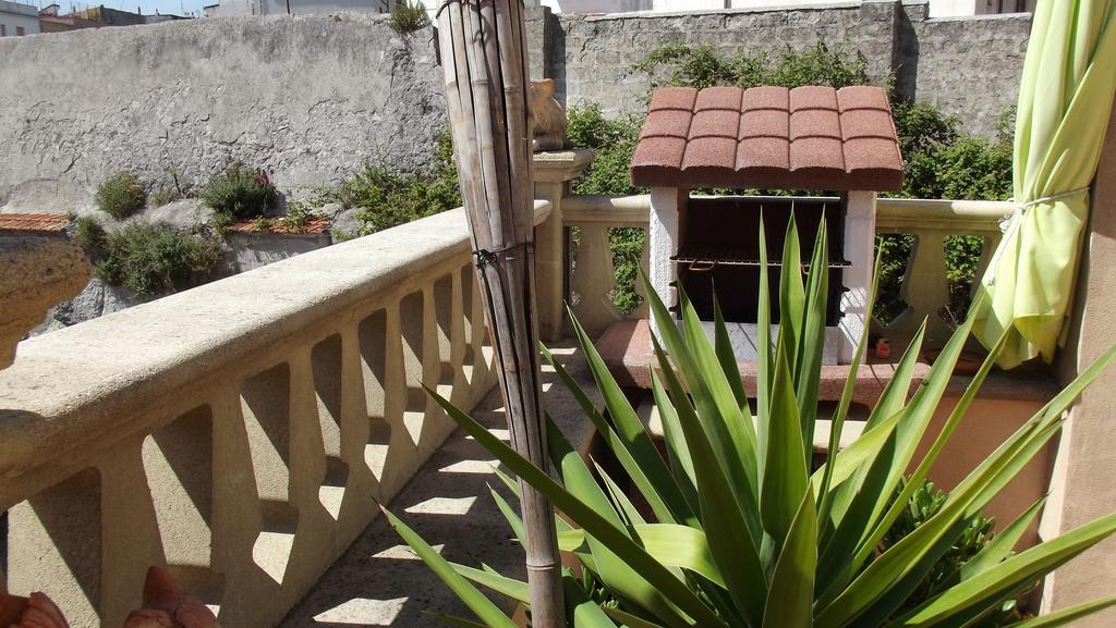 B&B Vico Vacanze Vico Del Gargano Eksteriør billede