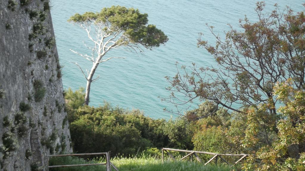 B&B Vico Vacanze Vico Del Gargano Eksteriør billede