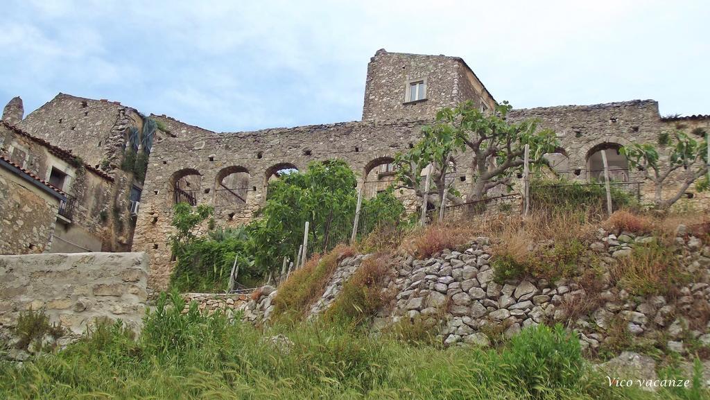 B&B Vico Vacanze Vico Del Gargano Eksteriør billede