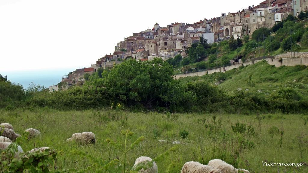 B&B Vico Vacanze Vico Del Gargano Eksteriør billede