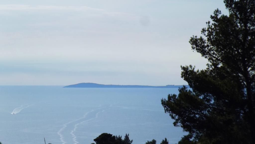 B&B Vico Vacanze Vico Del Gargano Eksteriør billede