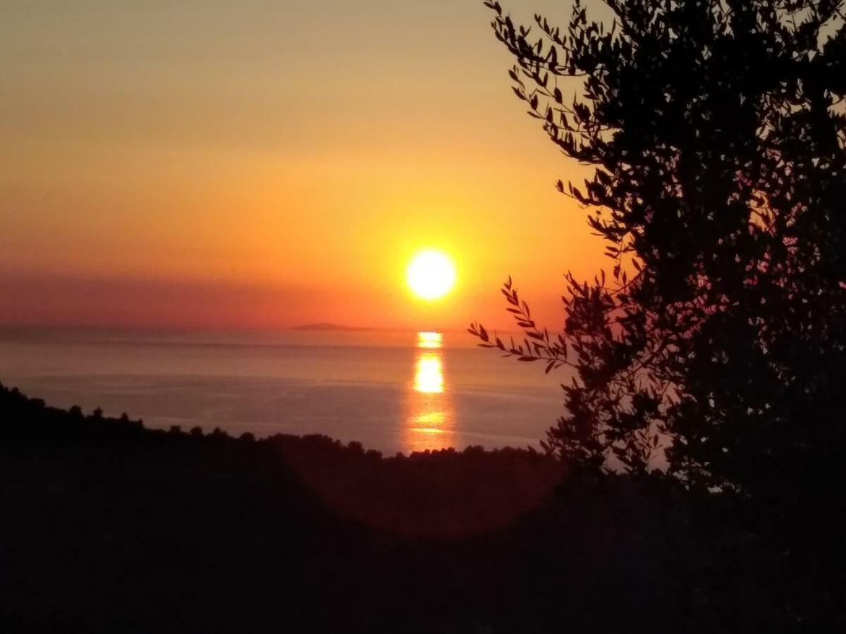 B&B Vico Vacanze Vico Del Gargano Eksteriør billede